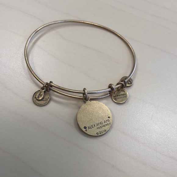 Alex and ani bangle bracelet with claddagh charm - Picture 2 of 2